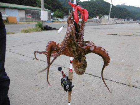 遠征２日目オクトパッシング